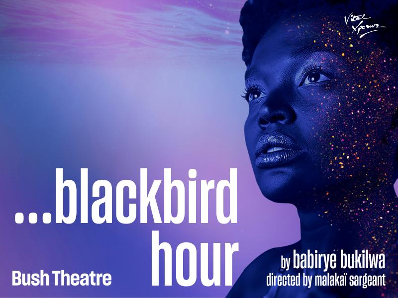 blackbird hour
By babirye bukilwa